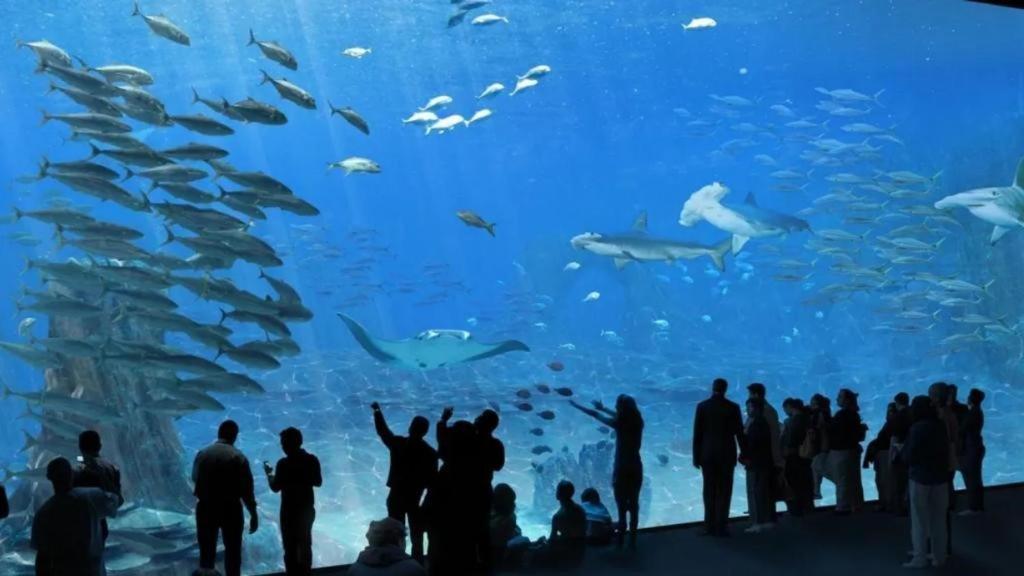La Tanatte De Wimereux Sur La Cote D Opale Dış mekan fotoğraf